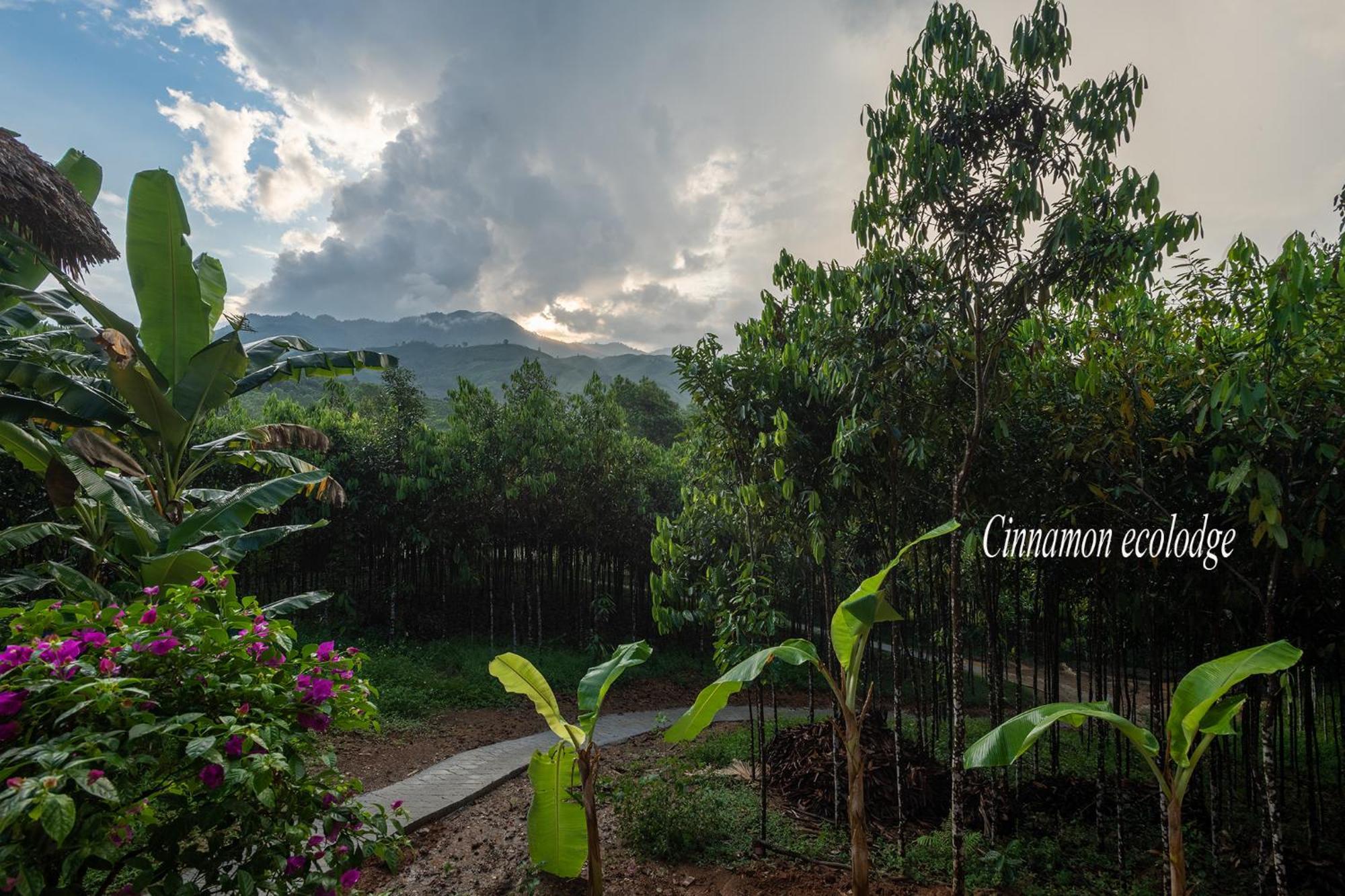 Cinnamon Eco Lodge Nam Hoac Exterior foto